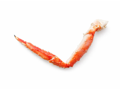 Kungskrabba
