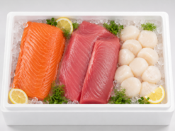 Sashimi Mixen