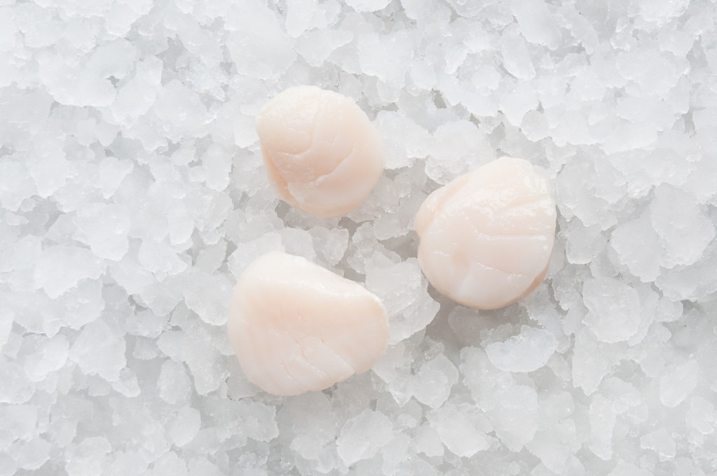 Sashimi Mixen - Bild 4
